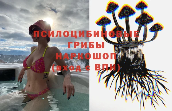 ГАЛЛЮЦИНОГЕННЫЕ ГРИБЫ Алзамай
