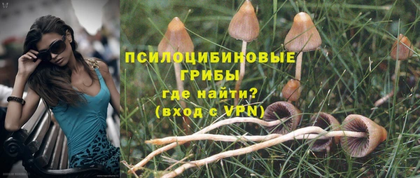 ГАЛЛЮЦИНОГЕННЫЕ ГРИБЫ Алзамай