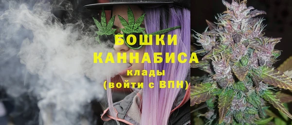 ГАЛЛЮЦИНОГЕННЫЕ ГРИБЫ Алзамай