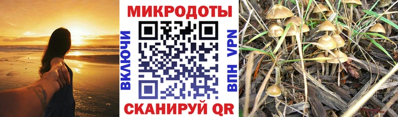 Купить  Киренск  Псилоцибиновые грибы MAGIC MUSHROOMS 